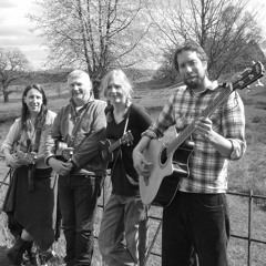 Bit on the Side Uke Band