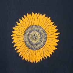 Daisy Hippy