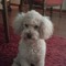 Bruno =)