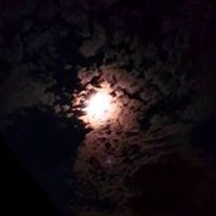 Justine Dilaura-Bartl