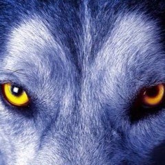 Chrissi MorgenMuffel