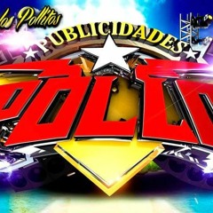 PUBLICIDADES EL POLLO