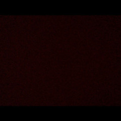 user281521002