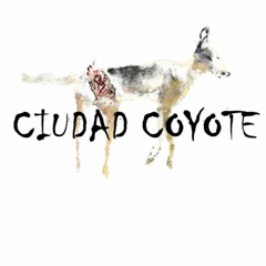 Ciudad Coyote