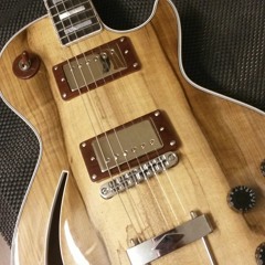 Martin A Smith Guitars