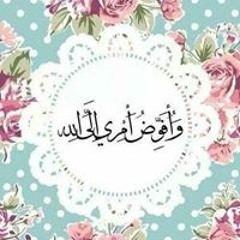 Ahmed AbdelGawad Moawad