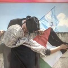 Terry Delaney-giller