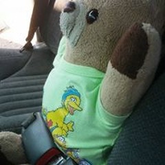 DianaMichelle JordanLogan