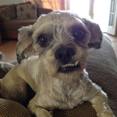 Jerry “Jerry89” H.