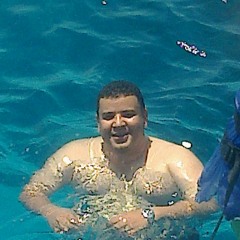 Abdel Salam Elbasha