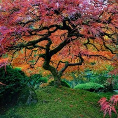 Mancow Muller - Fucking Hot Chili