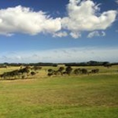 Nargis Afroj Chowdhury