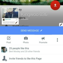 kingwoo 036