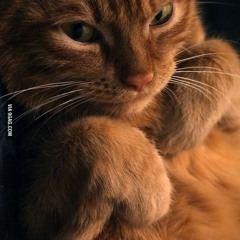 Rishang Asmadi Sahita