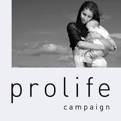 Pro Life Campaign’s avatar