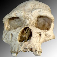 DJ PatrickChicoDuTartre