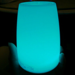 Dwi Pambagyo Mahardika