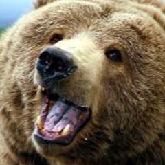 CuddleBearJones