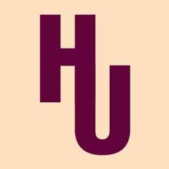 HOLISTIC UNDERGROUND