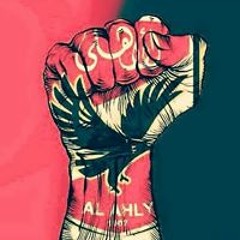 medo Ahmed