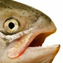 sueetlu