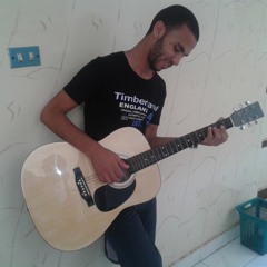 Ahmed Abdel Twab