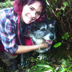 Katie's K9s and Friends