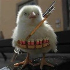 the duck song(1)