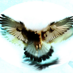Eagleplace100