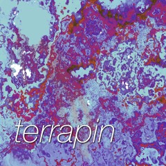 Terrapin