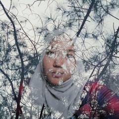 hamidah s