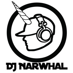 DJ Narwhal 2