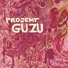 PROJEKT GUZU