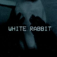 White Rabbit ‡ A Black Sun Rising