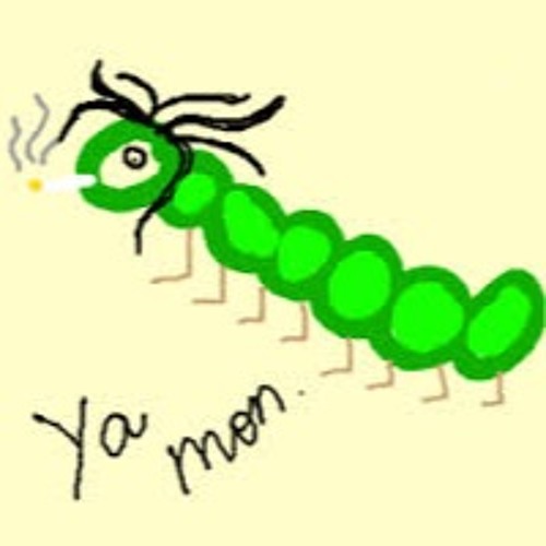 glowworm’s avatar