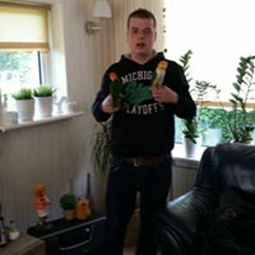 dani printul banatului