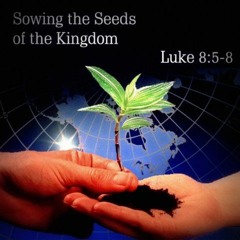 SeedsofTruth