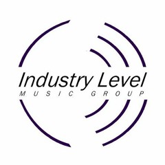 IndustryLevel002