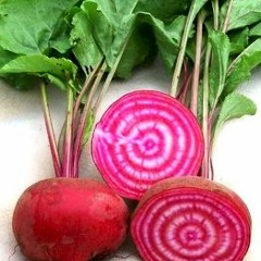 feedmebeets