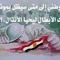 Mohamed Refaie Ana
