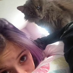 Willa
