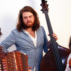 Lliw Lili Ymysg Y Drain