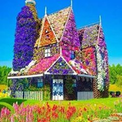 محمدفكرى الطويل