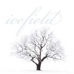 icefield