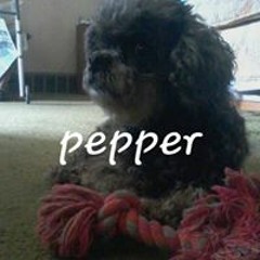 Kendrick Vs Brandon Leach