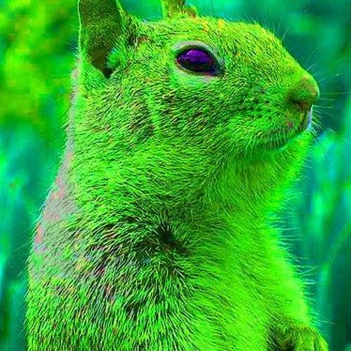 Esquilo Verde’s avatar