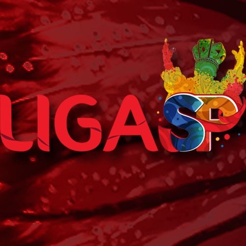 Liga Carnaval SP’s avatar