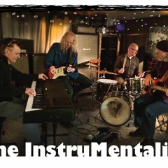 The InstruMentalists