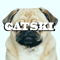 Catski
