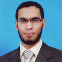 Abdullah Elsayed